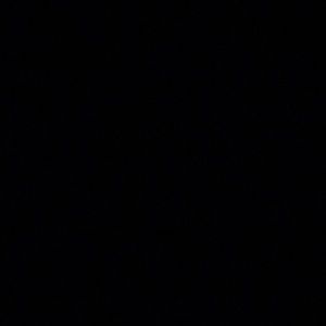 Meet your Posher, Devlin